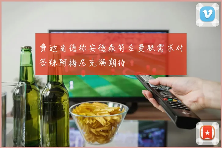 费迪南德称安德森符合曼联需求对签琼阿梅尼充满期待