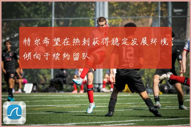 特尔希望在热刺获得稳定发展环境倾向于续约留队