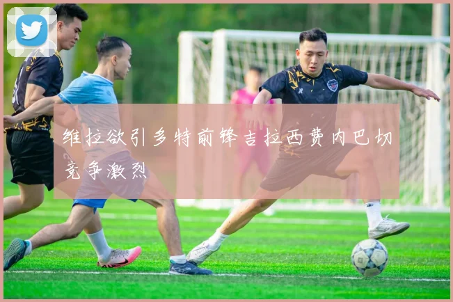 维拉欲引多特前锋吉拉西费内巴切竞争激烈